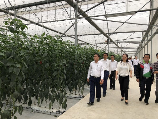 Lưu bản nháp tự động